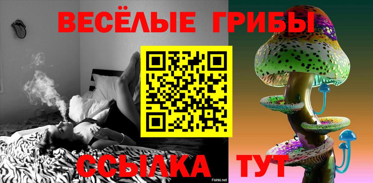 Псилоцибиновые грибы мухоморы Можга